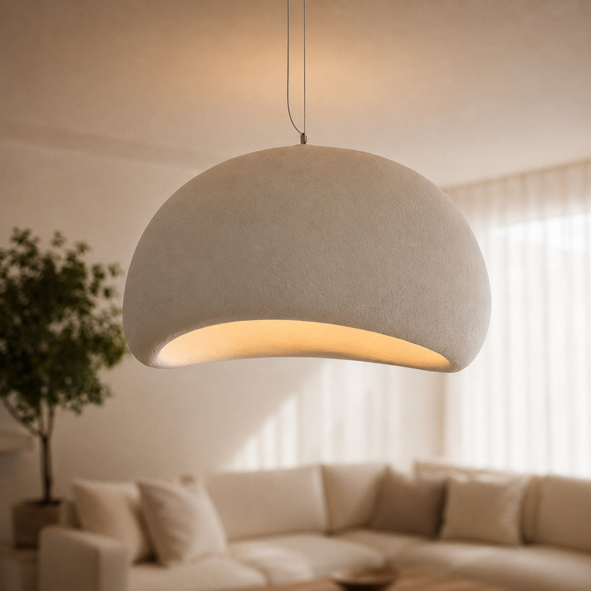 coqueB - vue rapprochee