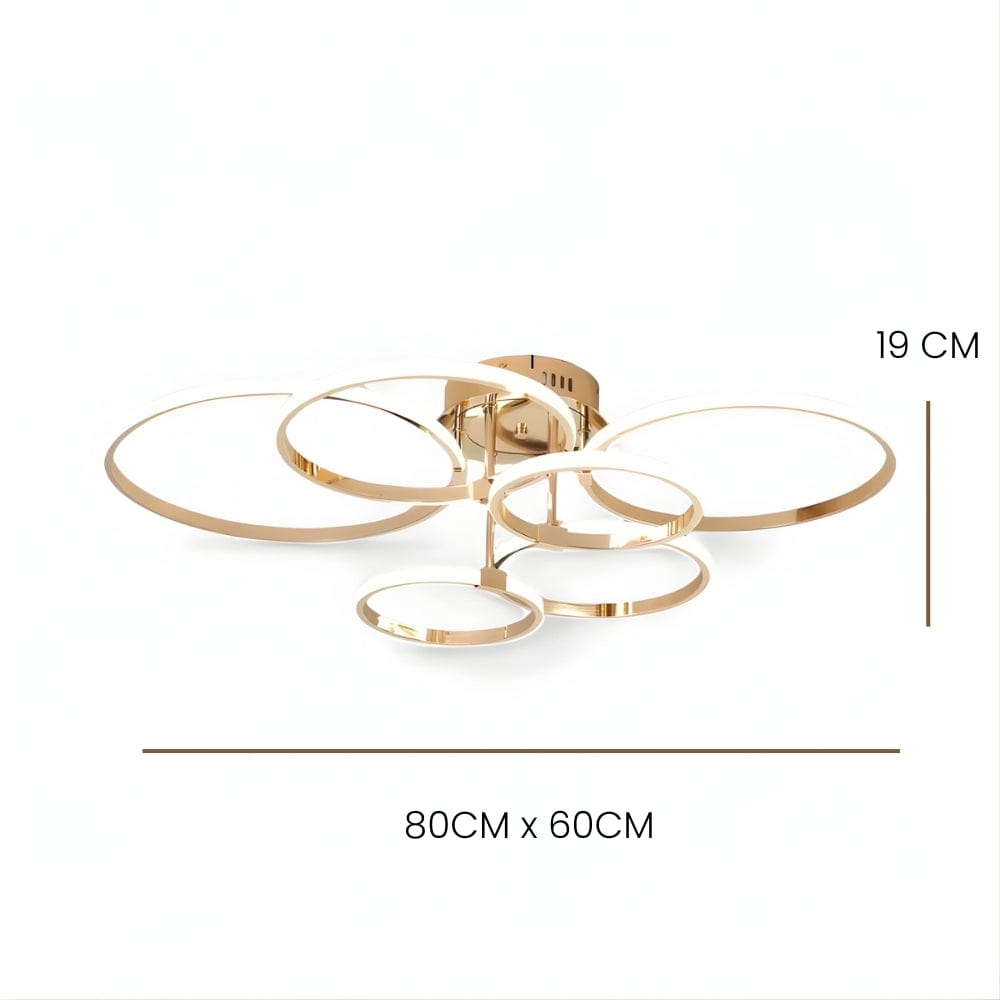 scercleD - dimensions